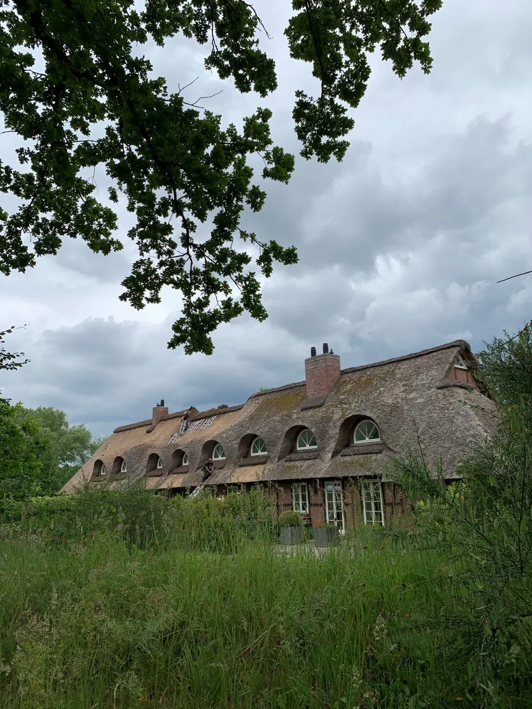 Wartung in der Lüneburger Heide – Aufnahme 1