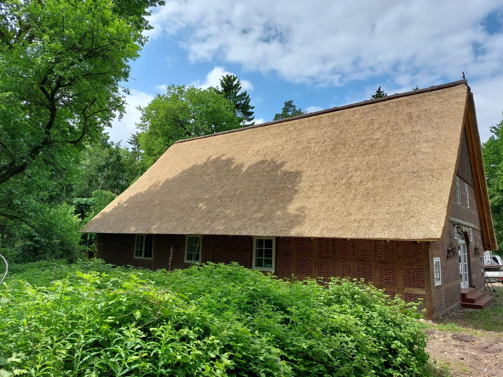 Fertig eingedecktes Reetdach in Gnarrenburg – Seitenansicht
