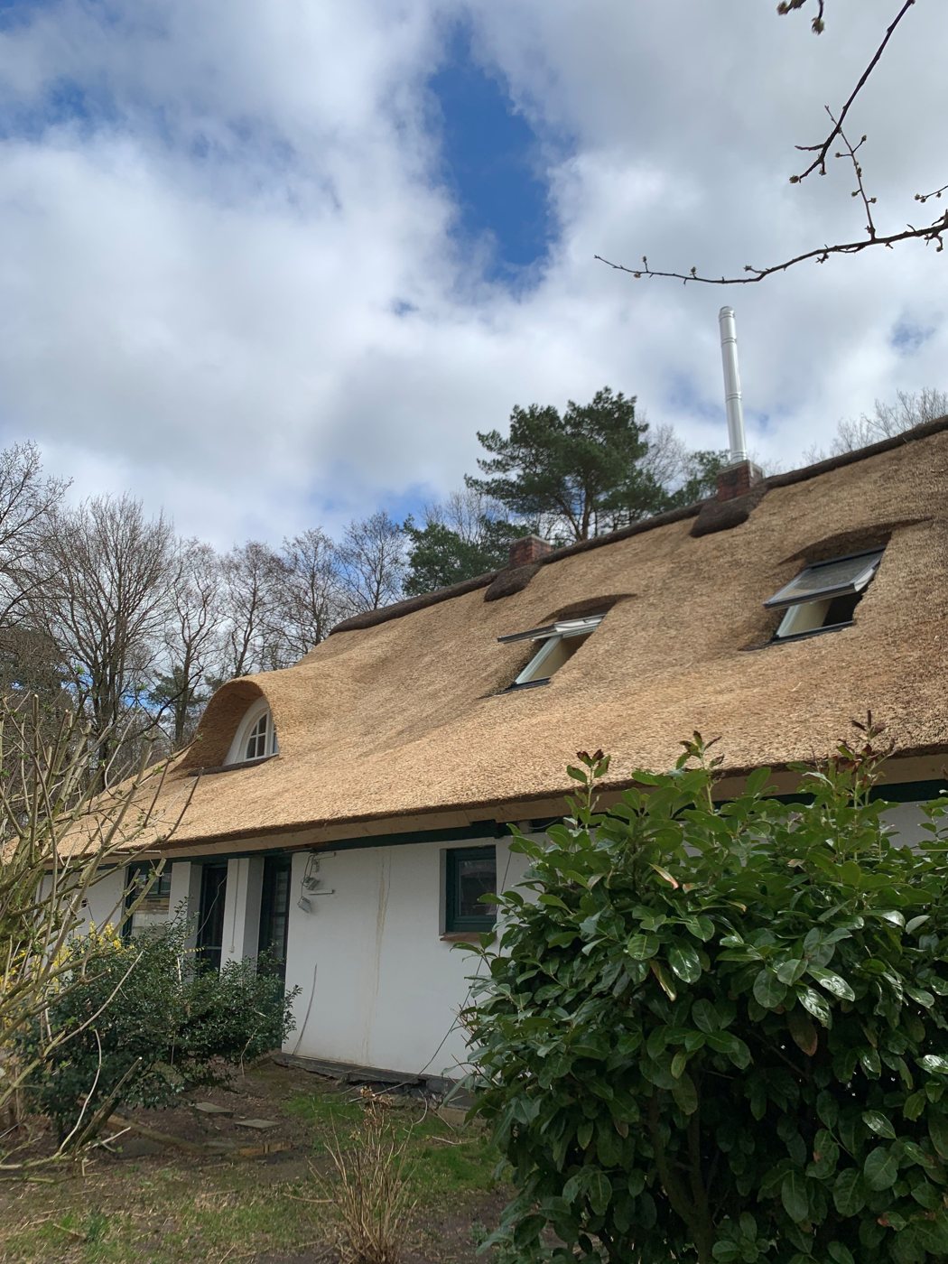 Neue Reetdeckung in Gnarrenburg.