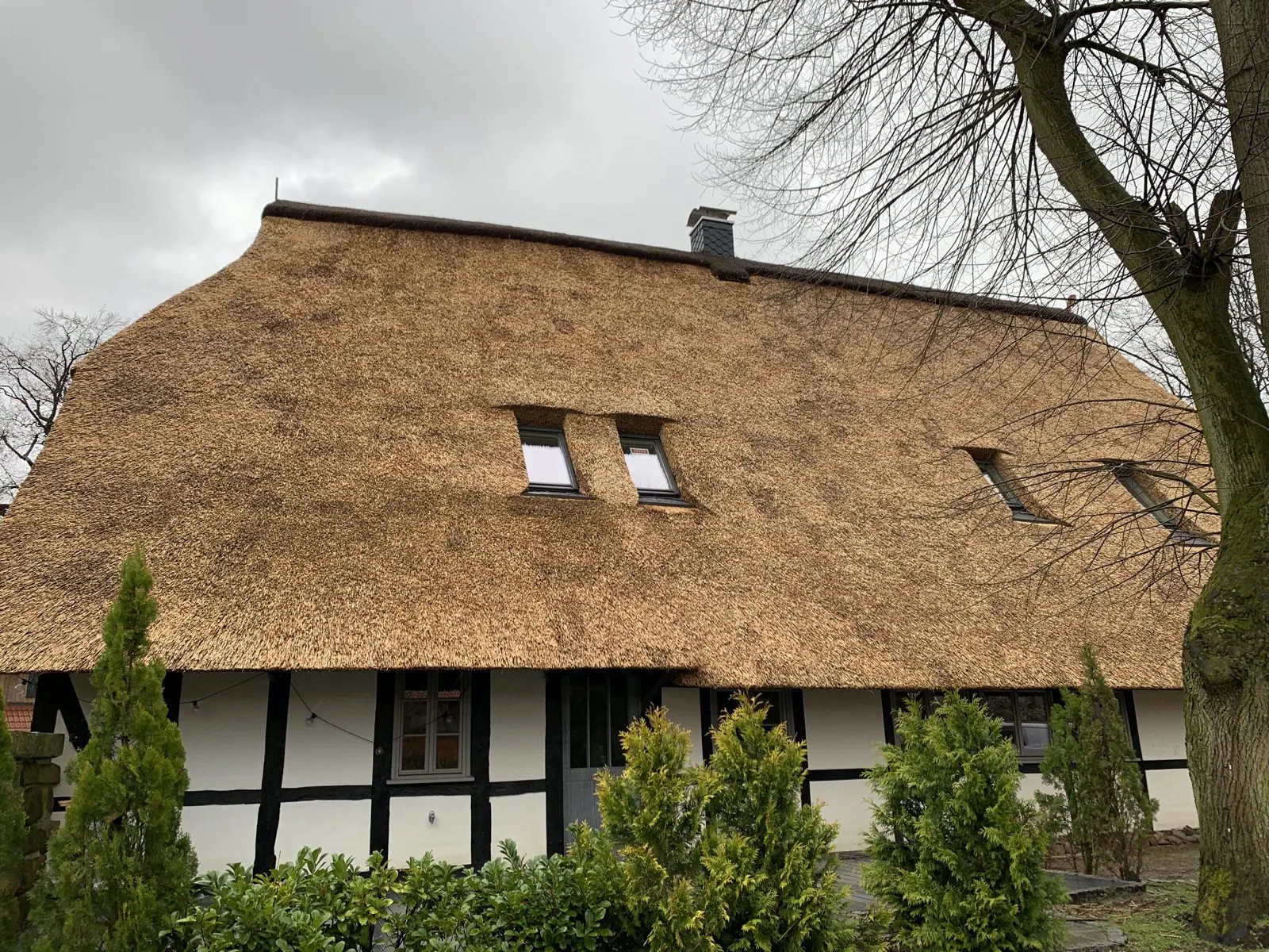 Reetdachprojekt in Wedemark – Aufnahme 1