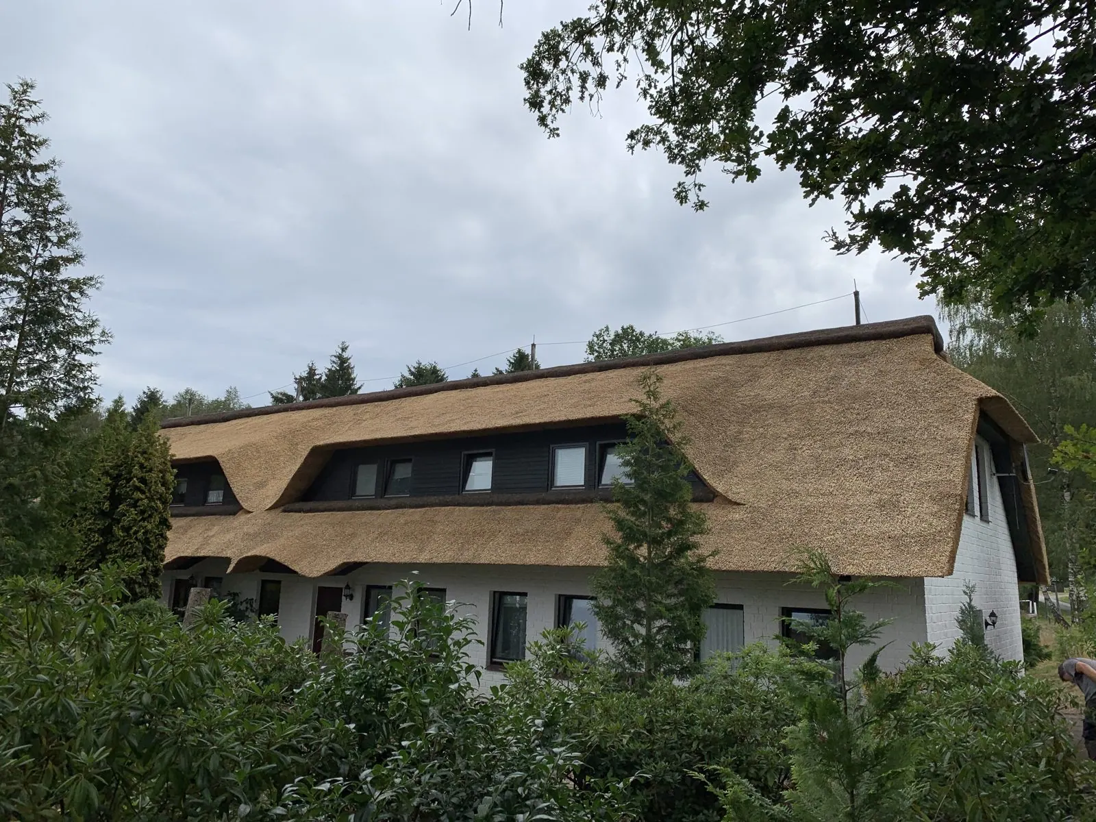 Reetdachprojekt in Soltau – Aufnahme 1