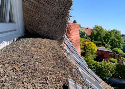 Reetdach Reparatur